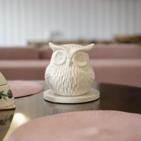 Biala Sowa - Weisse Eule