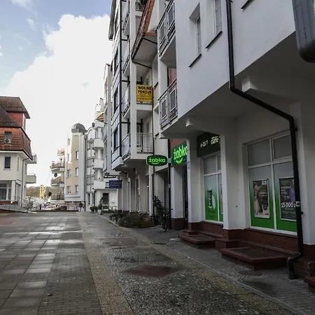 Biala Sowa - Weisse Eule * Kolobrzeg