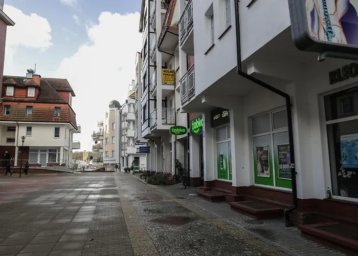 Biala Sowa - Weisse Eule * 科沃布热格